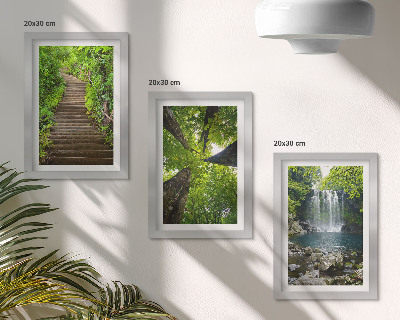 Juego de 3 cuadros decorativos Sendero forestal con cascada y vegetación verde.