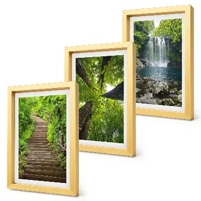 Juego de 3 cuadros decorativos con diseño de sendero forestal, cascada y vegetación verde