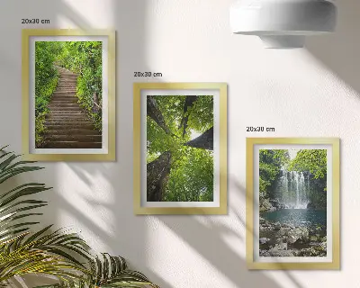 Juego de 3 cuadros decorativos con diseño de sendero forestal, cascada y vegetación verde