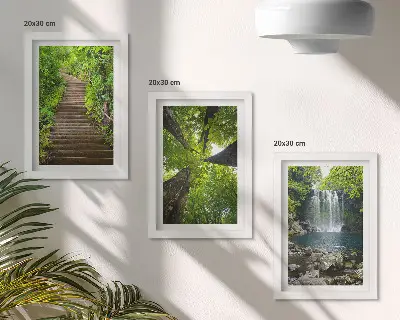 Juego de 3 cuadros decorativos con diseño de sendero forestal, cascada y vegetación verde