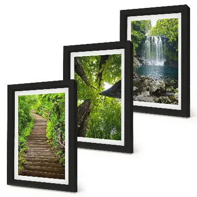 Juego de 3 cuadros decorativos con diseño de sendero forestal, cascada y vegetación verde