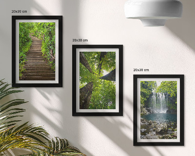 Juego de 3 cuadros decorativos Sendero forestal con cascada y vegetación verde.
