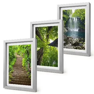 Juego de 3 cuadros decorativos con diseño de sendero forestal, cascada y vegetación verde