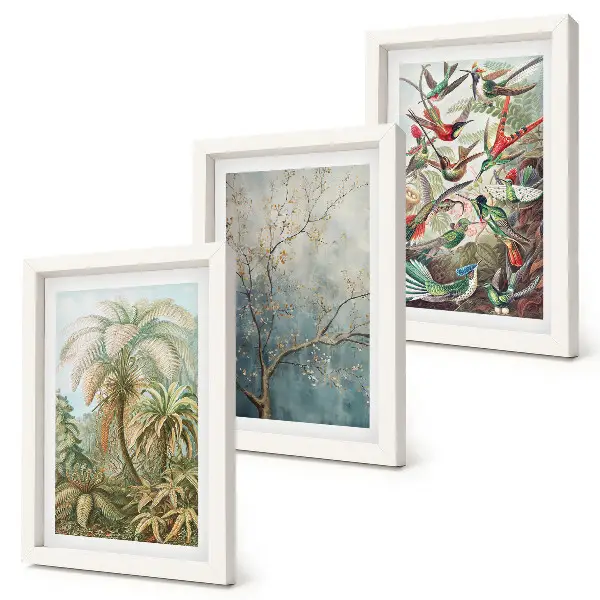 Juego de 3 cuadros decorativos con diseño de plantas tropicales y aves coloridas en la naturaleza