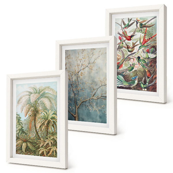 Juego de 3 cuadros decorativos Plantas tropicales y aves coloridas en la naturaleza.