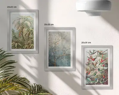 Juego de 3 cuadros decorativos con diseño de plantas tropicales y aves coloridas en la naturaleza