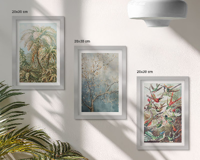 Juego de 3 cuadros decorativos Plantas tropicales y aves coloridas en la naturaleza.