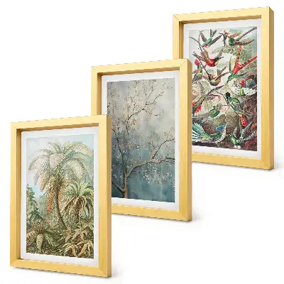 Juego de 3 cuadros decorativos con diseño de plantas tropicales y aves coloridas en la naturaleza