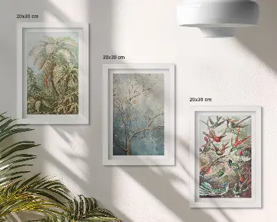 Juego de 3 cuadros decorativos con diseño de plantas tropicales y aves coloridas en la naturaleza