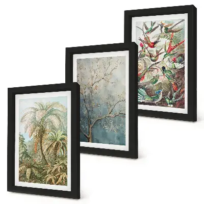 Juego de 3 cuadros decorativos con diseño de plantas tropicales y aves coloridas en la naturaleza