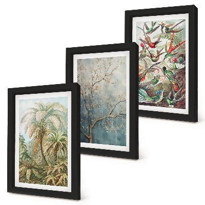 Juego de 3 cuadros decorativos Plantas tropicales y aves coloridas en la naturaleza.