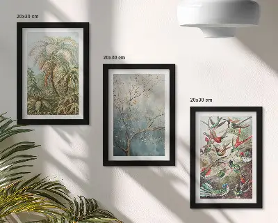 Juego de 3 cuadros decorativos con diseño de plantas tropicales y aves coloridas en la naturaleza