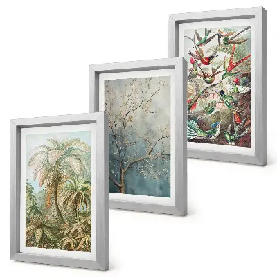 Juego de 3 cuadros decorativos con diseño de plantas tropicales y aves coloridas en la naturaleza
