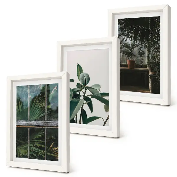 Tríptico enmarcado hojas verdes en la ventana y plantas de interior