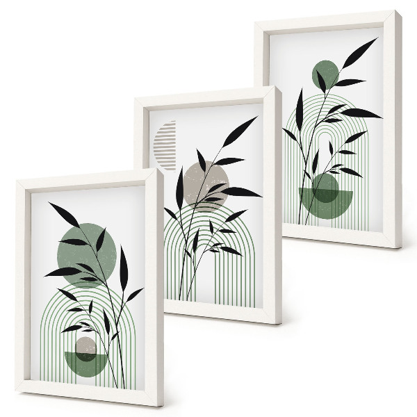 Juego de 3 cuadros decorativos Composiciones abstractas de plantas, estilo bohemio.