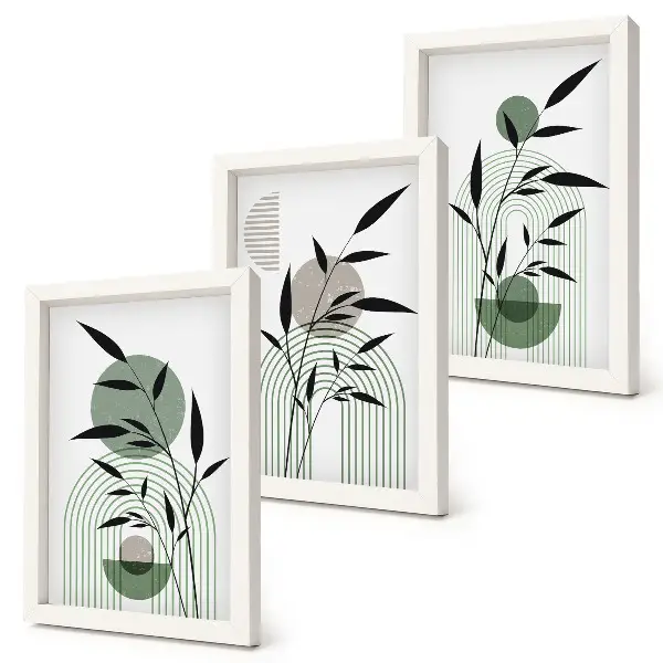 Juego de 3 cuadros decorativos con composiciones abstractas de plantas en estilo bohemio