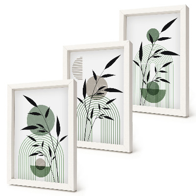 Juego de 3 cuadros decorativos Composiciones abstractas de plantas, estilo bohemio.