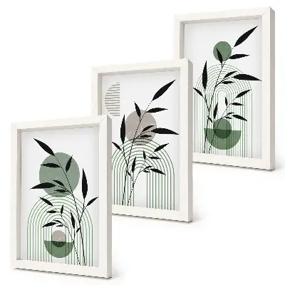 Juego de 3 cuadros decorativos con composiciones abstractas de plantas en estilo bohemio
