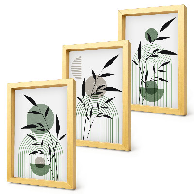 Juego de 3 cuadros decorativos Composiciones abstractas de plantas, estilo bohemio.