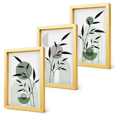 Juego de 3 cuadros decorativos con composiciones abstractas de plantas en estilo bohemio
