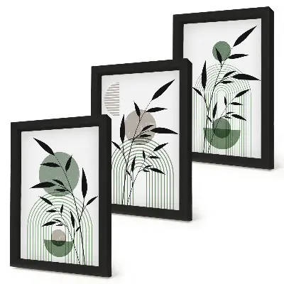 Juego de 3 cuadros decorativos con composiciones abstractas de plantas en estilo bohemio
