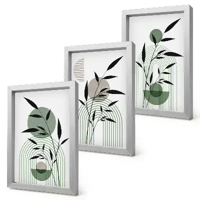 Juego de 3 cuadros decorativos con composiciones abstractas de plantas en estilo bohemio