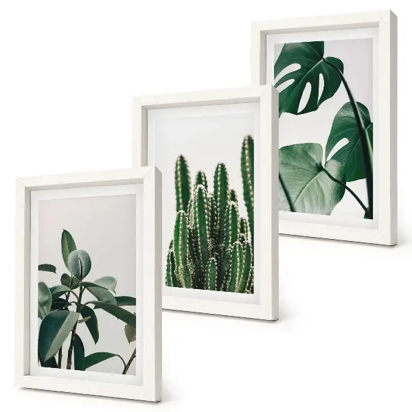 Juego de 3 cuadros decorativos con diseño de hojas estéticas de plantas tropicales de interior