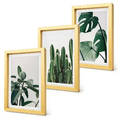 Juego de 3 cuadros decorativos con diseño de hojas estéticas de plantas tropicales de interior