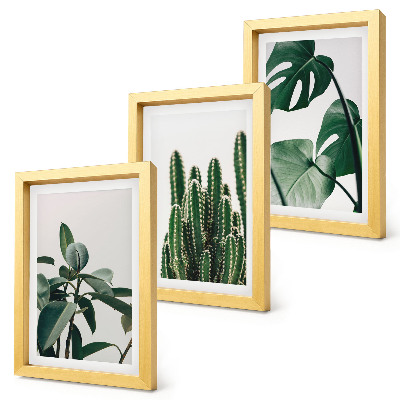 Juego de 3 cuadros decorativos Hojas estéticas de plantas de interior tropicales