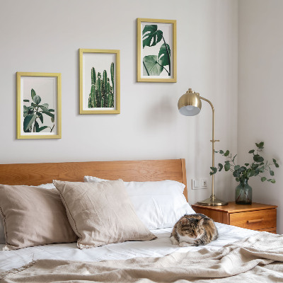 Juego de 3 cuadros decorativos Hojas estéticas de plantas de interior tropicales