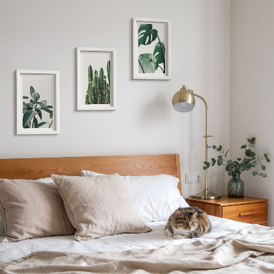 Juego de 3 cuadros decorativos Hojas estéticas de plantas de interior tropicales