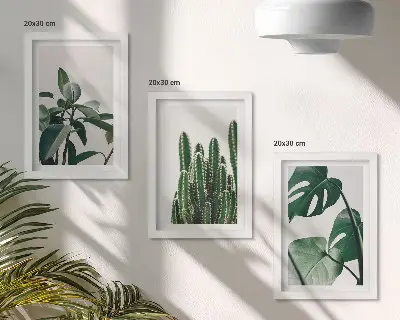 Juego de 3 cuadros decorativos con diseño de hojas estéticas de plantas tropicales de interior