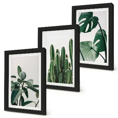 Juego de 3 cuadros decorativos con diseño de hojas estéticas de plantas tropicales de interior