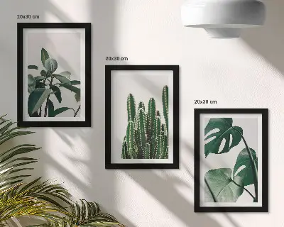 Juego de 3 cuadros decorativos con diseño de hojas estéticas de plantas tropicales de interior
