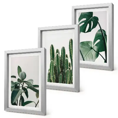 Juego de 3 cuadros decorativos con diseño de hojas estéticas de plantas tropicales de interior