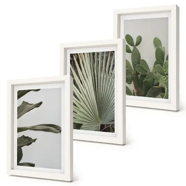 Juego de 3 cuadros decorativos con diseño de hojas de plantas tropicales en colores pastel