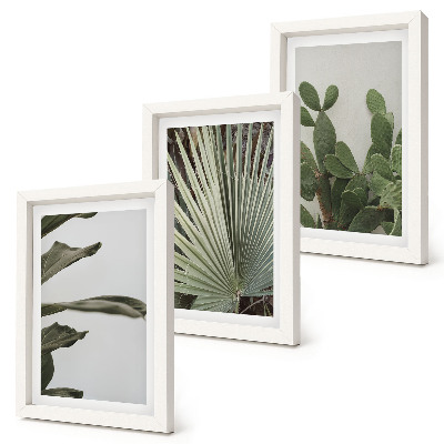 Juego de 3 cuadros decorativos Hojas de plantas tropicales en colores pastel.