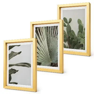 Juego de 3 cuadros decorativos con diseño de hojas de plantas tropicales en colores pastel