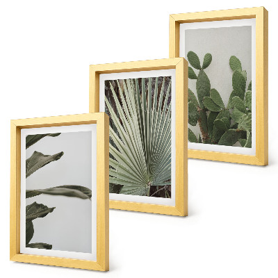 Juego de 3 cuadros decorativos Hojas de plantas tropicales en colores pastel.