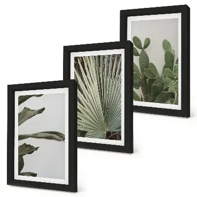 Juego de 3 cuadros decorativos con diseño de hojas de plantas tropicales en colores pastel