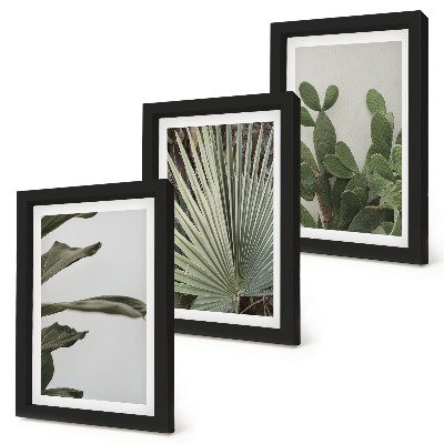 Juego de 3 cuadros decorativos Hojas de plantas tropicales en colores pastel.