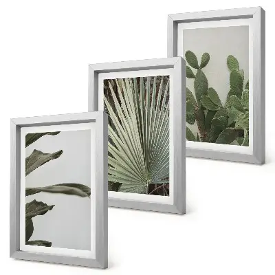Juego de 3 cuadros decorativos con diseño de hojas de plantas tropicales en colores pastel