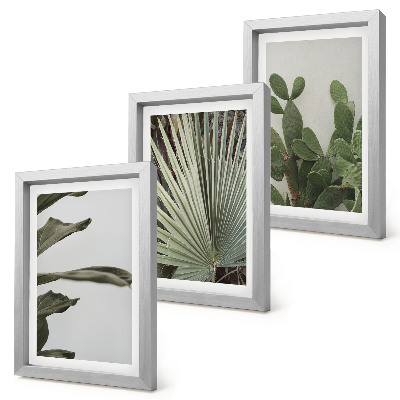 Juego de 3 cuadros decorativos Hojas de plantas tropicales en colores pastel.