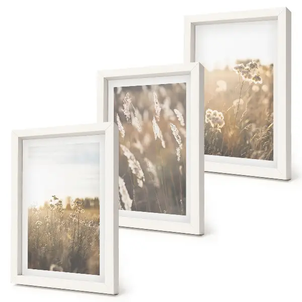 Juego de 3 cuadros decorativos paisaje con hierbas y flores en tonos cálidos