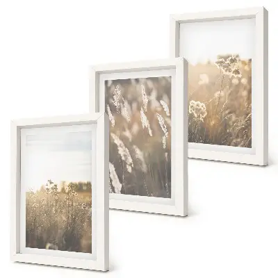 Juego de 3 cuadros decorativos paisaje con hierbas y flores en tonos cálidos