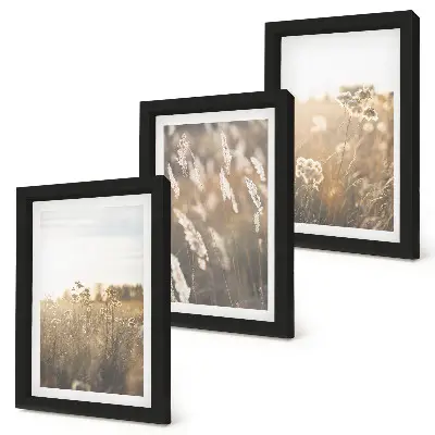 Juego de 3 cuadros decorativos paisaje con hierbas y flores en tonos cálidos