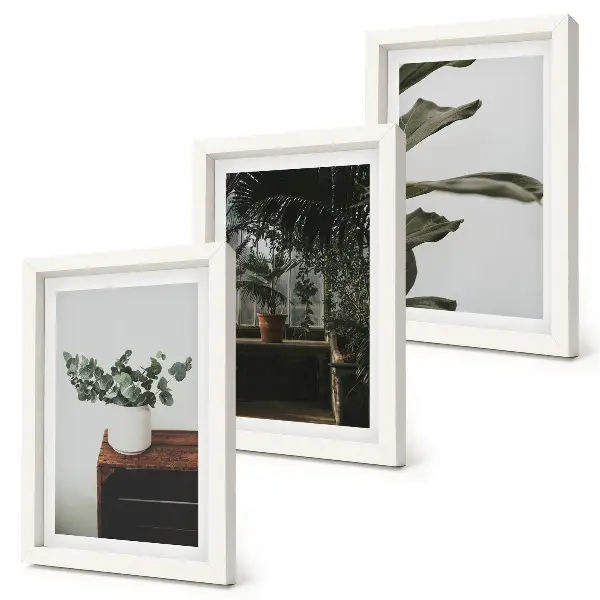 Juego de 3 cuadros decorativos con diseño de plantas en maceta de hojas rústicas
