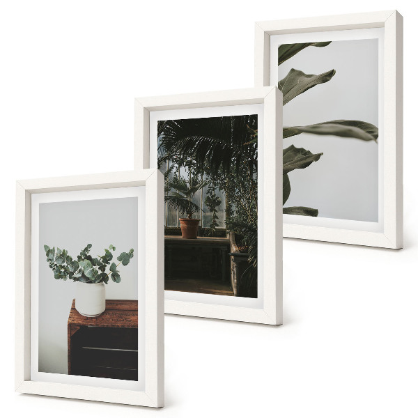 Juego de 3 cuadros decorativos Plantas en maceta con hojas rústicas