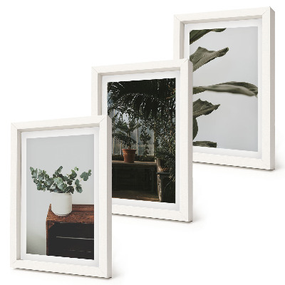 Juego de 3 cuadros decorativos Plantas en maceta con hojas rústicas