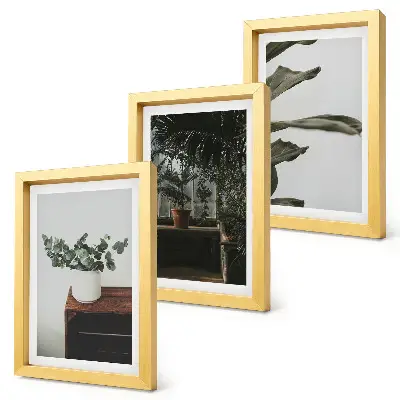 Juego de 3 cuadros decorativos con diseño de plantas en maceta de hojas rústicas